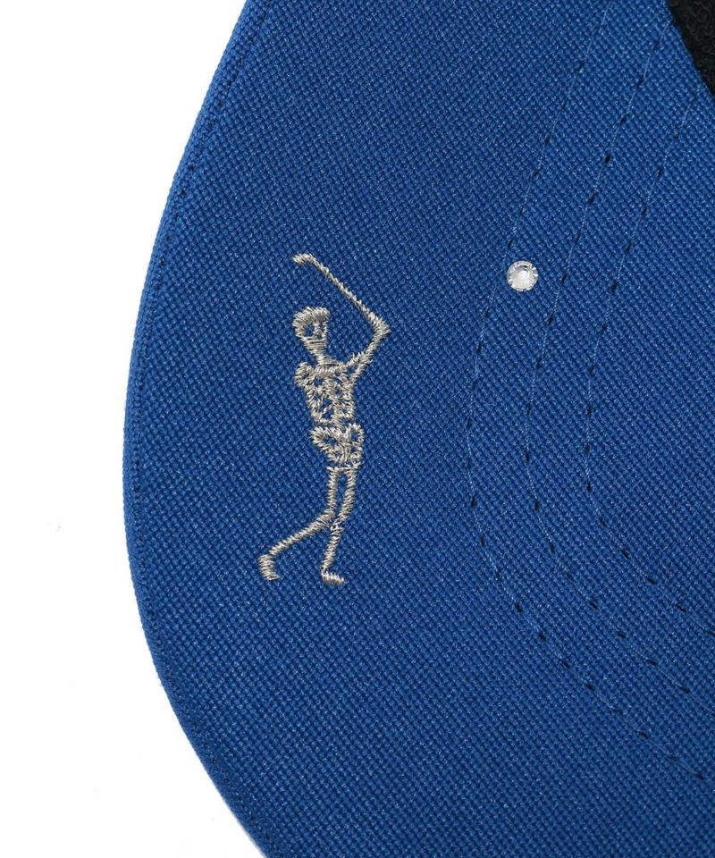 Pala Visor