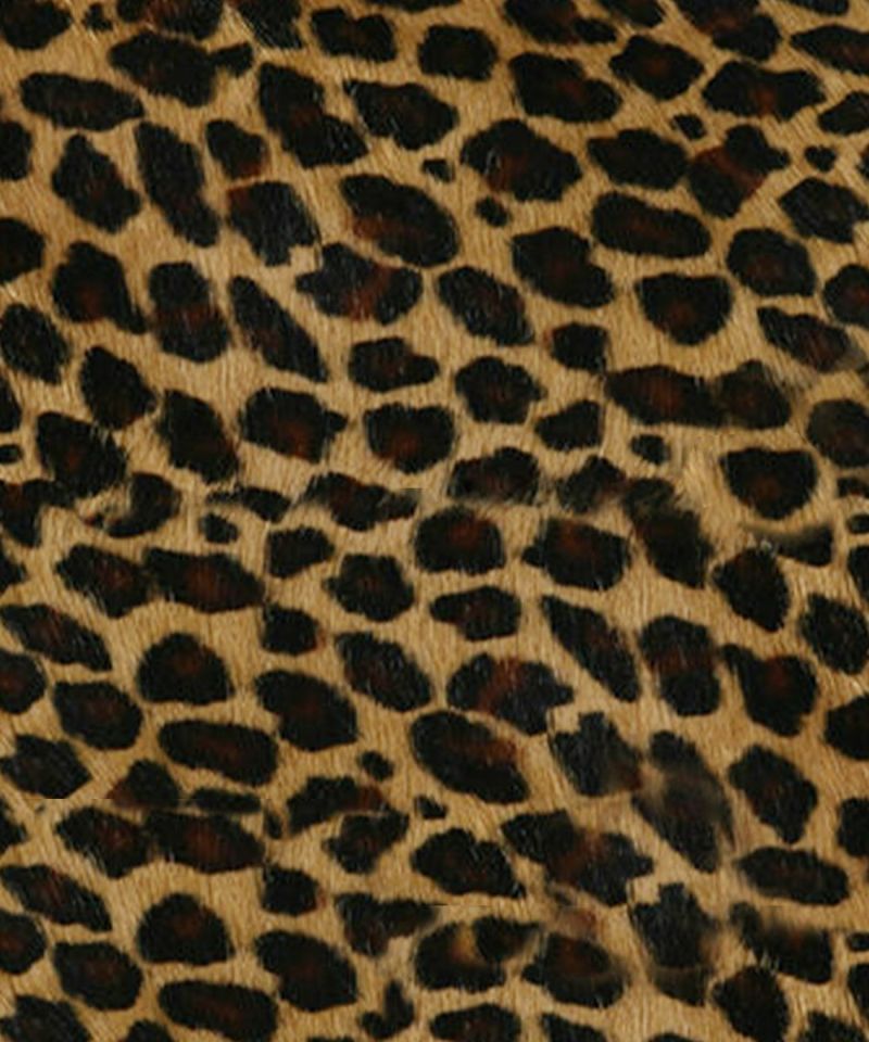 LEOPARD